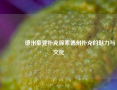 🏅德州豪登扑克探索德州扑克的魅力与文化