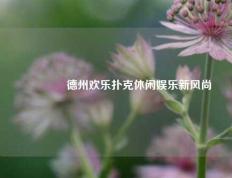 👉德州欢乐扑克休闲娱乐新风尚