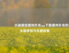 🥇小涵德信德州扑克app下载德州扑克的全新体验与乐趣探索