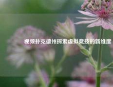 🏅视频扑克德州探索虚拟竞技的新维度
