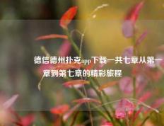 🥉德信德州扑克app下载一共七章从第一章到第七章的精彩旅程