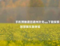 🎖️手机博雅德信德州扑克app下载探索智慧娱乐新体验