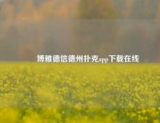 ✌️博雅德信德州扑克app下载在线