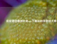 ✌️皮皮德信德州扑克app下载从初学者到大师