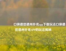 👍口袋德信德州扑克app下载玩法口袋德信德州扑克APP的玩法揭秘