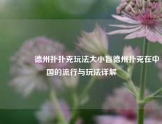 🥈德州扑扑克玩法大小盲德州扑克在中国的流行与玩法详解