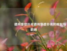 🥉德州豪登扑克德州豪登扑克的崛起与影响