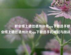 🥉职业线上德信德州扑克app下载选手职业线上德信德州扑克app下载选手的崛起与挑战