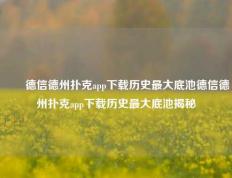 ✌️德信德州扑克app下载历史最大底池德信德州扑克app下载历史最大底池揭秘