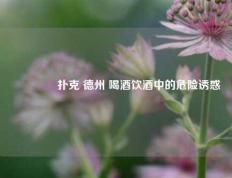 👈扑克 德州 喝酒饮酒中的危险诱惑