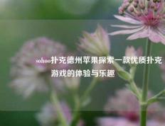 🏅sohoo扑克德州苹果探索一款优质扑克游戏的体验与乐趣