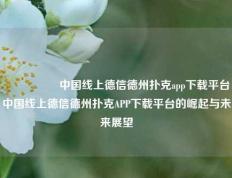 🎖️中国线上德信德州扑克app下载平台中国线上德信德州扑克APP下载平台的崛起与未来展望