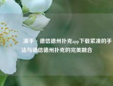 👉凑手·德信德州扑克app下载紧凑的手法与德信德州扑克的完美融合