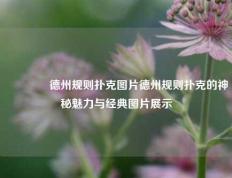 🥉德州规则扑克图片德州规则扑克的神秘魅力与经典图片展示