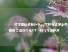 🥇云顶德信德州扑克app下载安卓版本云顶德信德州扑克APP下载与体验评测