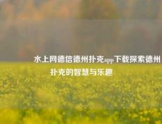 🏆水上网德信德州扑克app下载探索德州扑克的智慧与乐趣