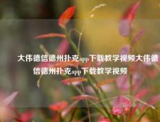 ✌️大伟德信德州扑克app下载教学视频大伟德信德州扑克app下载教学视频