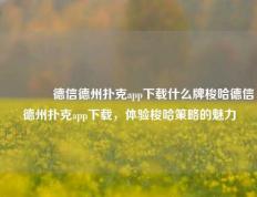 🏅德信德州扑克app下载什么牌梭哈德信德州扑克app下载，体验梭哈策略的魅力