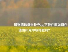 🥈博狗德信德州扑克app下载在哪如何在德州扑克中取得胜利？