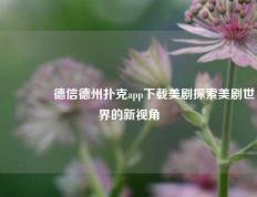 👈德信德州扑克app下载美剧探索美剧世界的新视角