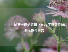 🏅球斯卡德信德州扑克app下载探索游戏的乐趣与挑战