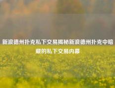 新浪德州扑克私下交易揭秘新浪德州扑克中暗藏的私下交易内幕