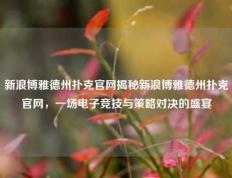 新浪博雅德州扑克官网揭秘新浪博雅德州扑克官网，一场电子竞技与策略对决的盛宴