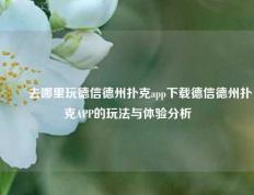 ✌️去哪里玩德信德州扑克app下载德信德州扑克APP的玩法与体验分析