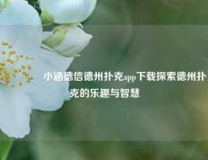 👍小涵德信德州扑克app下载探索德州扑克的乐趣与智慧