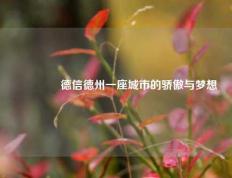 👈德信德州一座城市的骄傲与梦想