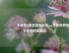 🎖️手机老k德信德州扑克app下载探索电子竞技的新潮流