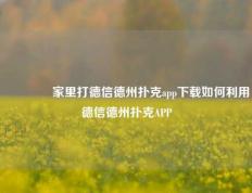 🥇家里打德信德州扑克app下载如何利用德信德州扑克APP