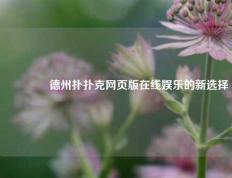 🏆德州扑扑克网页版在线娱乐的新选择