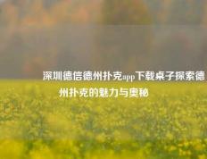 🌈深圳德信德州扑克app下载桌子探索德州扑克的魅力与奥秘