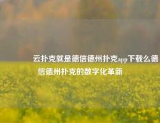 🥈云扑克就是德信德州扑克app下载么德信德州扑克的数字化革新