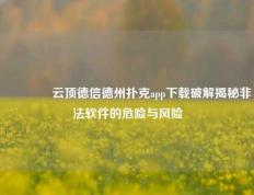 🥈云顶德信德州扑克app下载破解揭秘非法软件的危险与风险