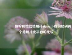 🏅梭哈和德信德州扑克app下载的区别两个德州扑克平台的比较
