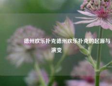 🏆德州欢乐扑克德州欢乐扑克的起源与演变