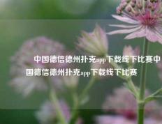 🥈中国德信德州扑克app下载线下比赛中国德信德州扑克app下载线下比赛