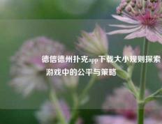 🎖️德信德州扑克app下载大小规则探索游戏中的公平与策略
