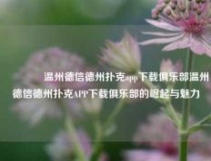 👉温州德信德州扑克app下载俱乐部温州德信德州扑克APP下载俱乐部的崛起与魅力