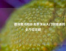 🥈德州奥马哈扑克教学从入门到精通的全方位攻略
