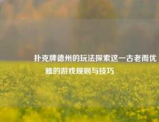 🌈扑克牌德州的玩法探索这一古老而优雅的游戏规则与技巧