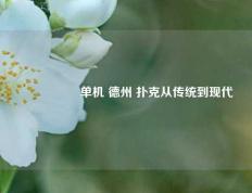 🎖️单机 德州 扑克从传统到现代