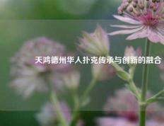 🥈天鸿德州华人扑克传承与创新的融合