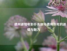 👉德州迷情电影扑克部分德州扑克的迷情与魅力