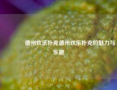 🌈德州欢乐扑克德州欢乐扑克的魅力与乐趣