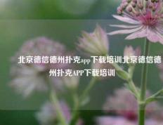 ✌️北京德信德州扑克app下载培训北京德信德州扑克APP下载培训