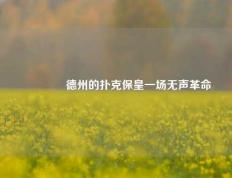 🌈德州的扑克保皇一场无声革命