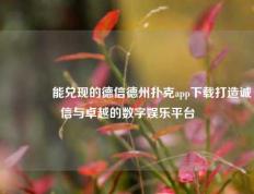 🏅能兑现的德信德州扑克app下载打造诚信与卓越的数字娱乐平台
